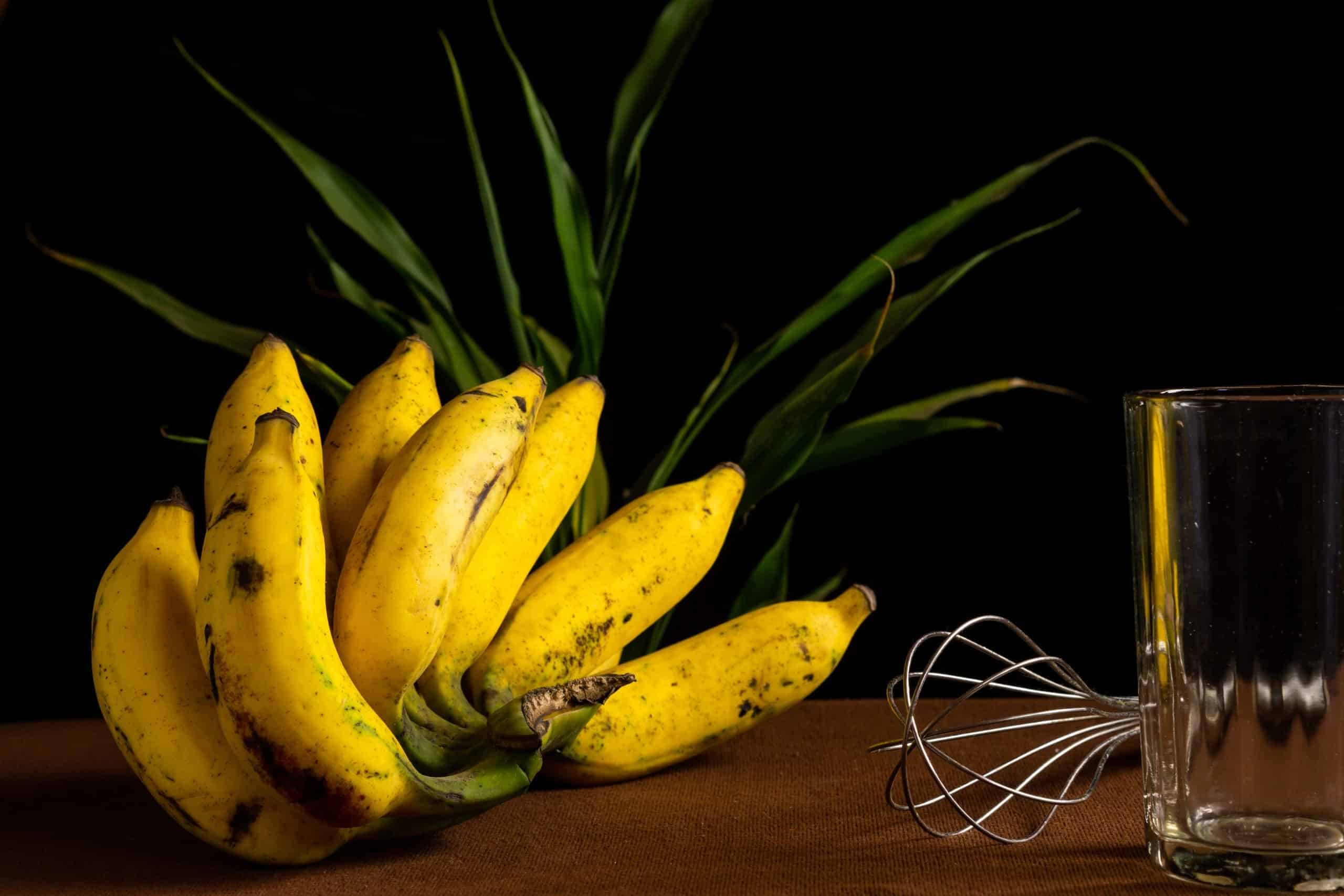 Can I Eat Bananas with Gallstones Can I Eat Bananas with Gallstones