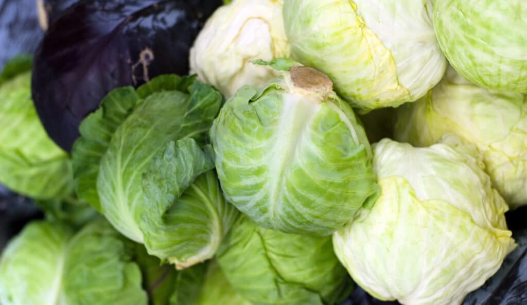 List of keto vegetables
