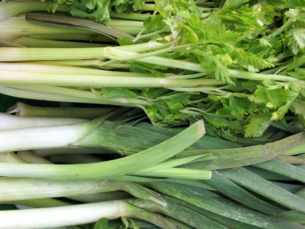List of keto vegetables