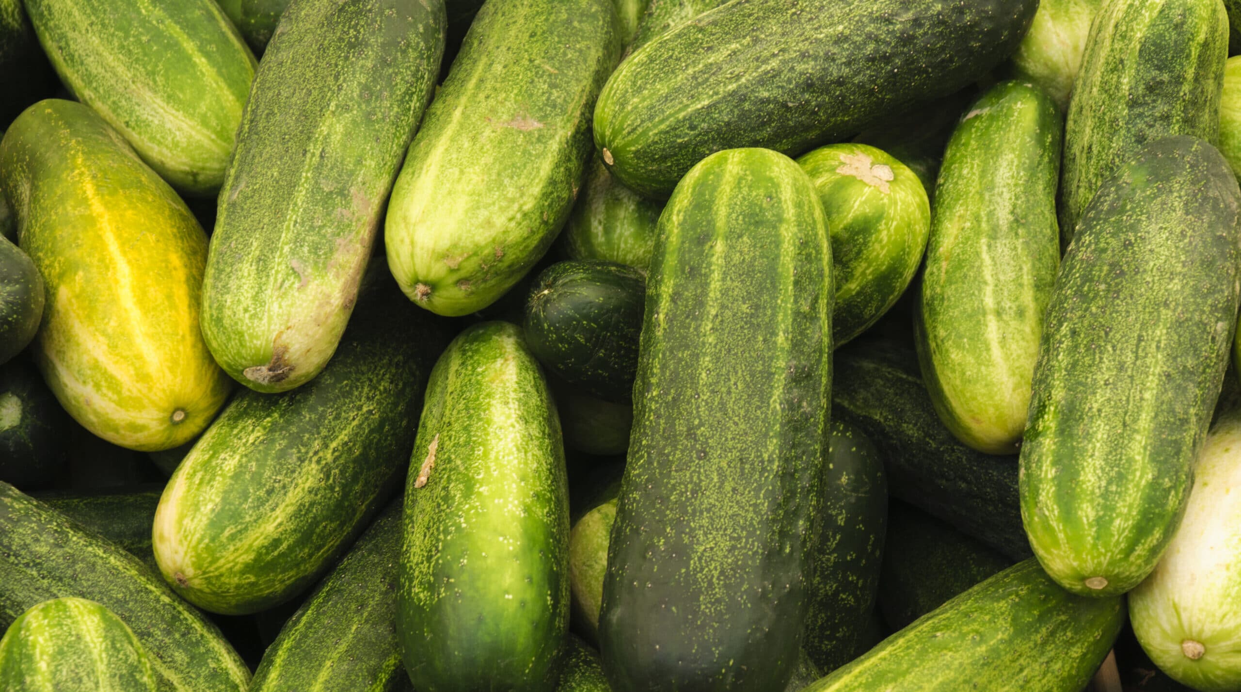 List of keto vegetables -Cucumber List of keto vegetables