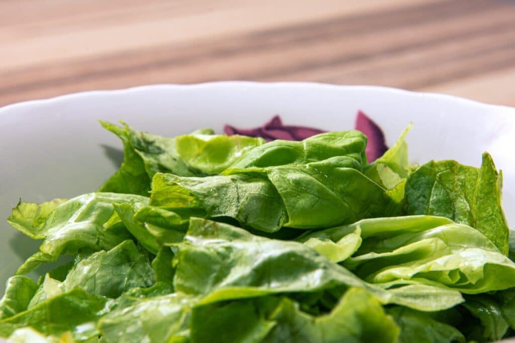 Candida Diet Meal Plan