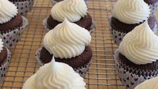 Chocolate Cupcakes with Cream Cheese