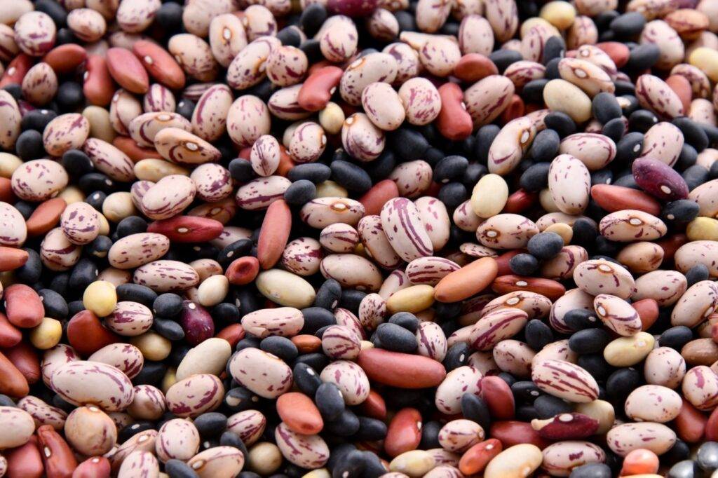 Daniel Fast Food List