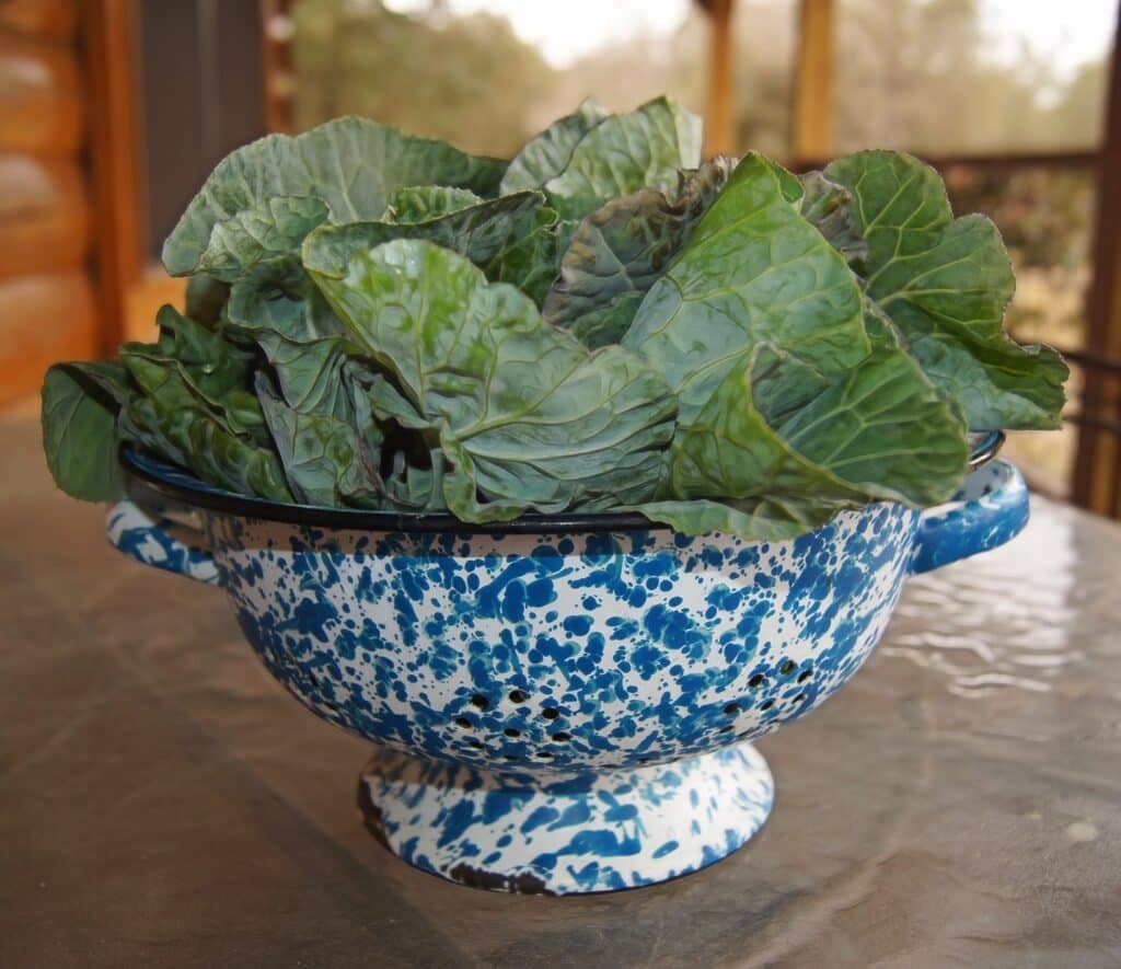 Alkaline Diet Food List