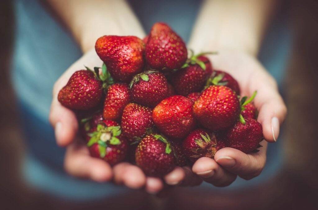 Anti Inflammatory Diet Food List