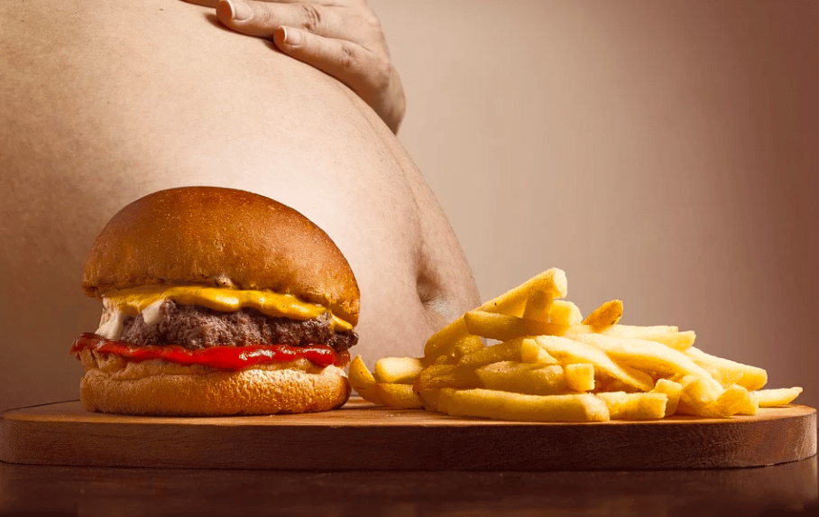 Low Fat Diet Plan