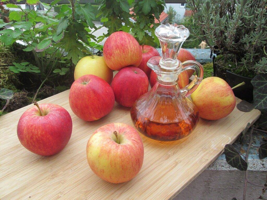 30 Day Apple Cider Vinegar Weight Loss