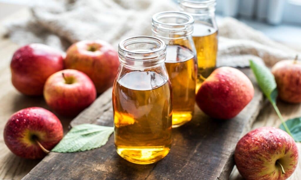 Elimination Diet Food List