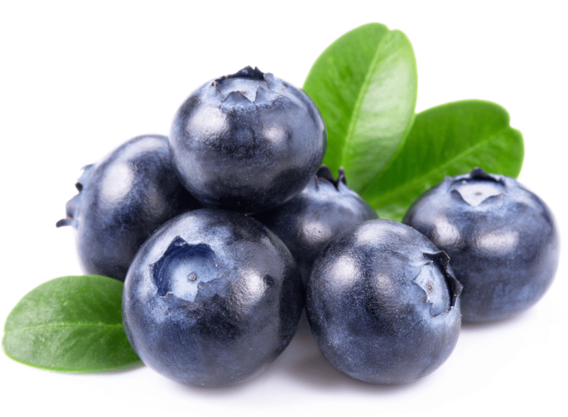 Renal Diet Food List