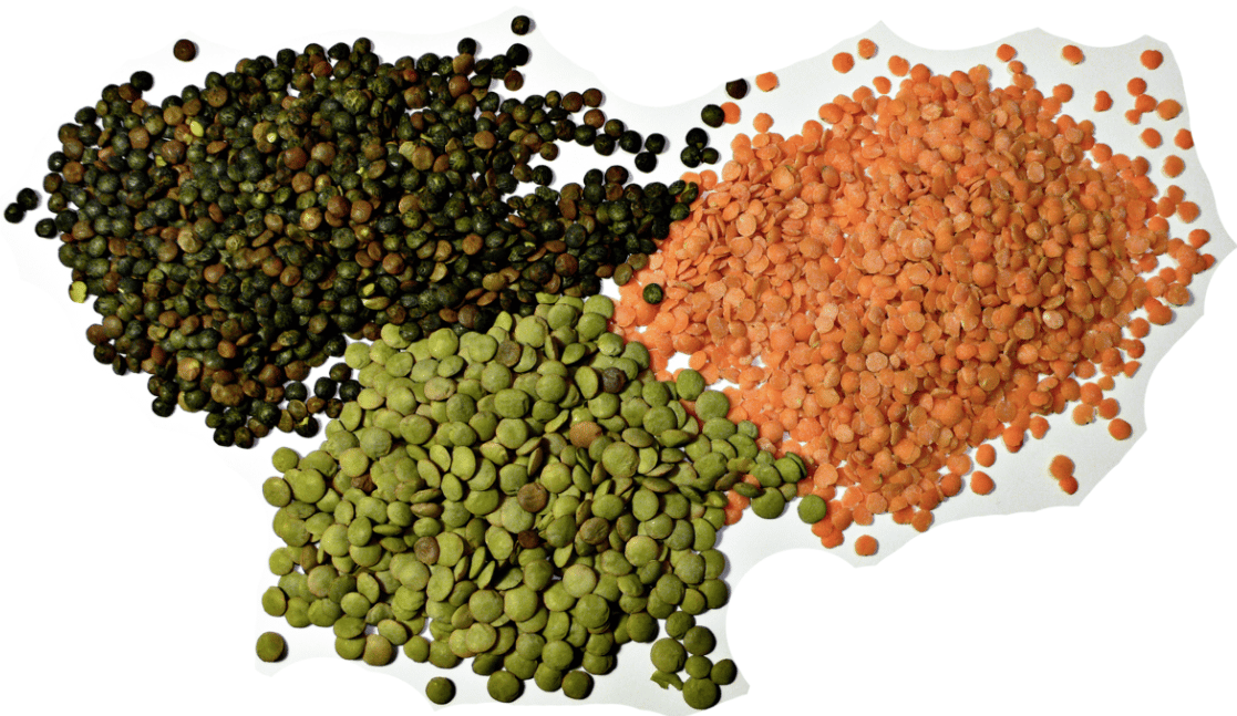 Pegan Diet Food List