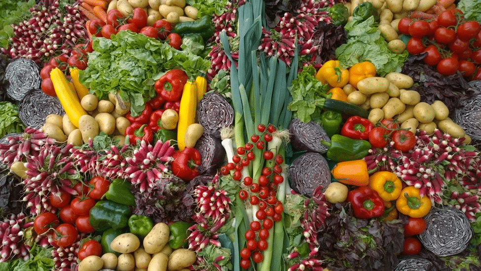 Whole30 Diet Food List