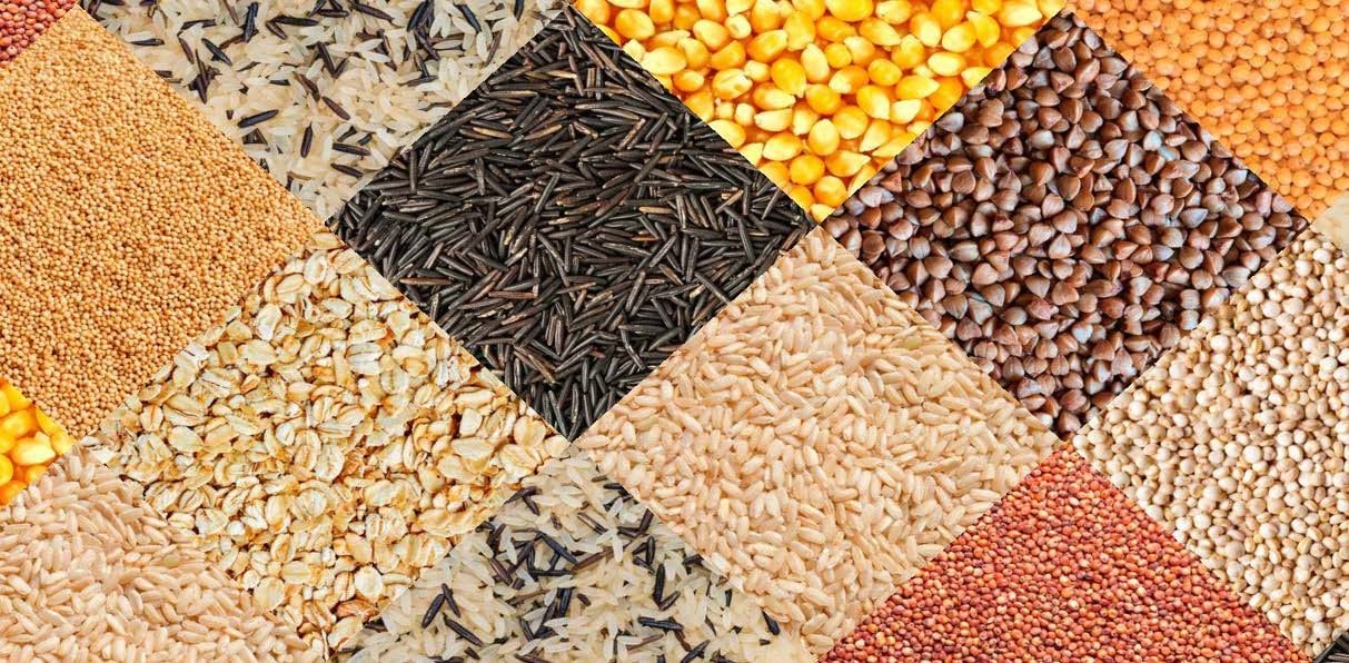 Ulcer Diet Food List