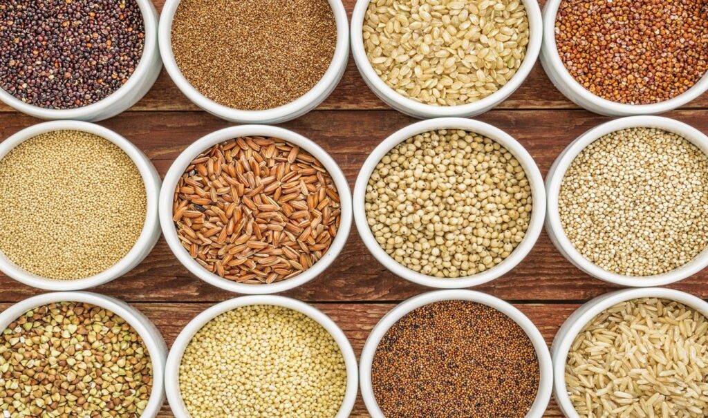 Elimination Diet Food List