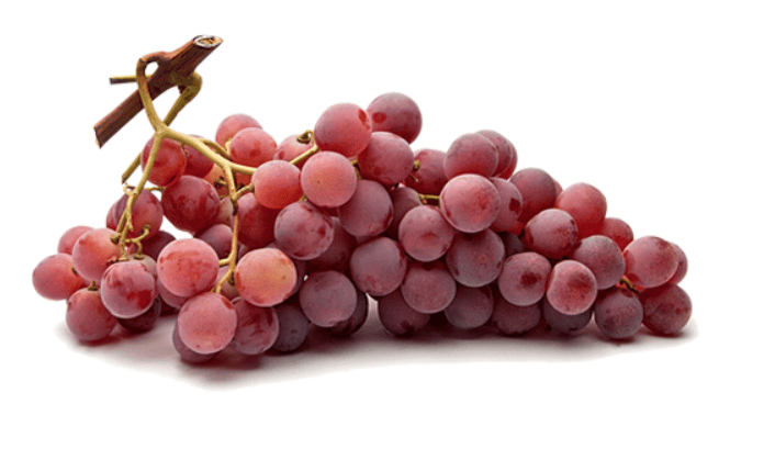 Renal Diet Food List