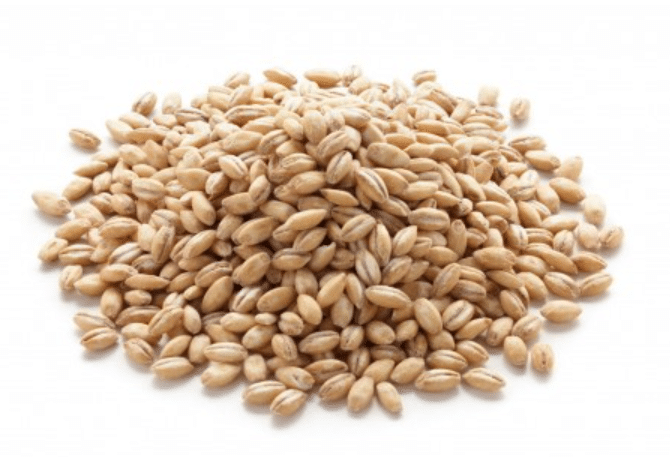 GAPS Diet Food List
