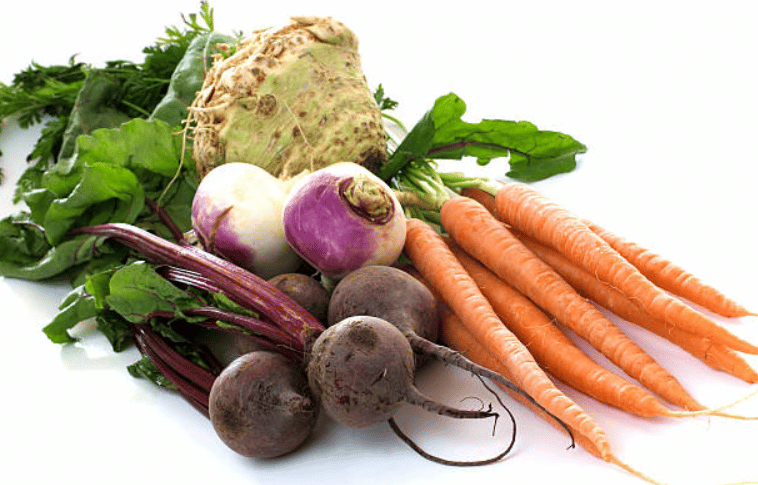 Hemorrhoids High Fiber Diet