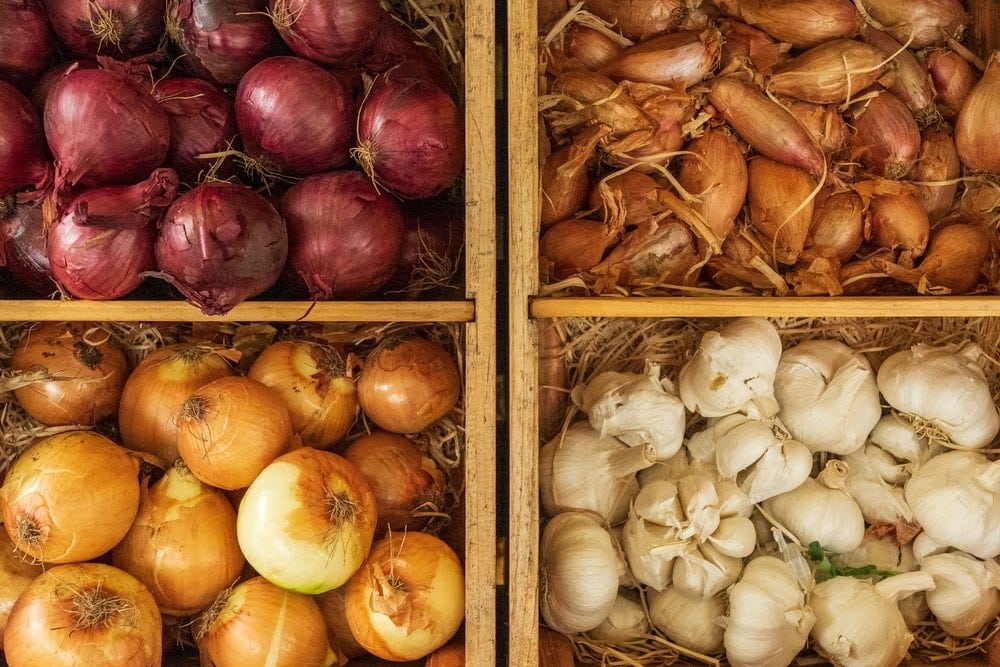 Anti-Inflammatory Diet for Arthritis