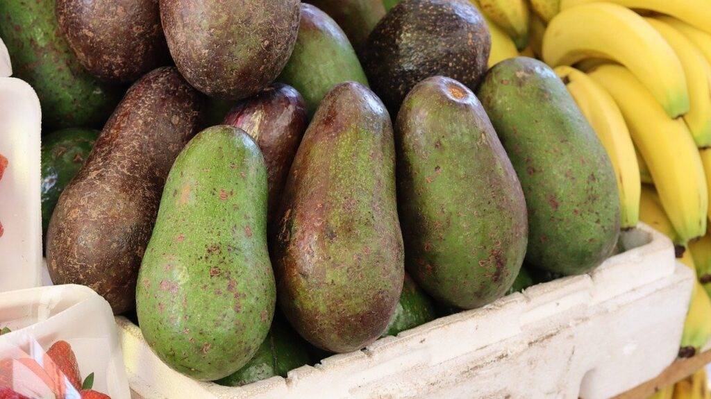 SIBO Diet Food List