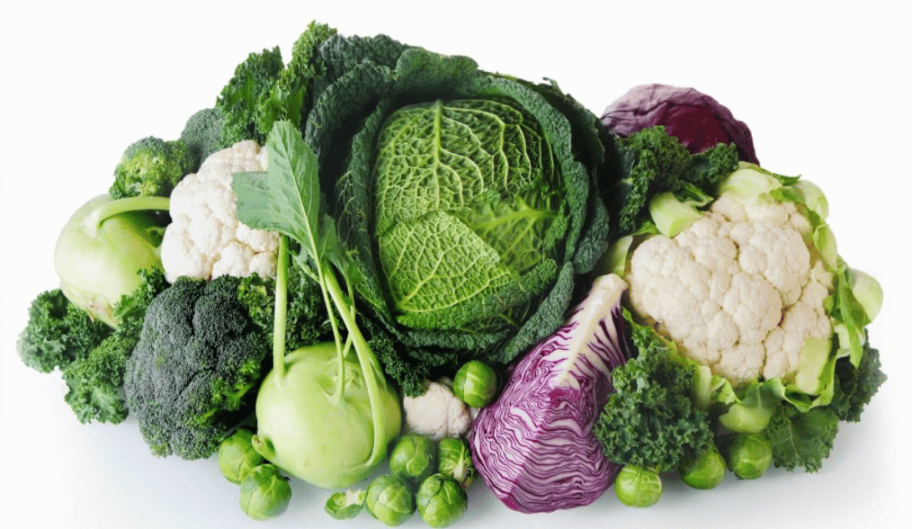 Hemorrhoids High Fiber Diet