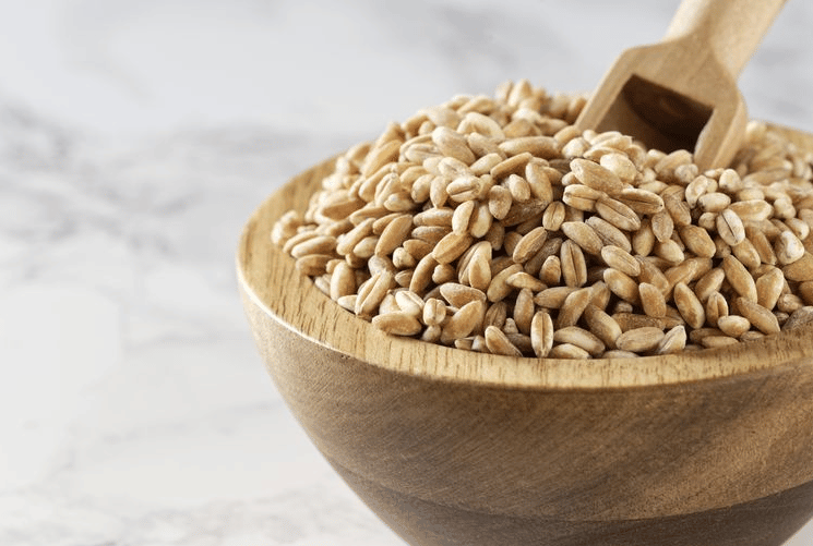 Low Sodium Diet Food List
