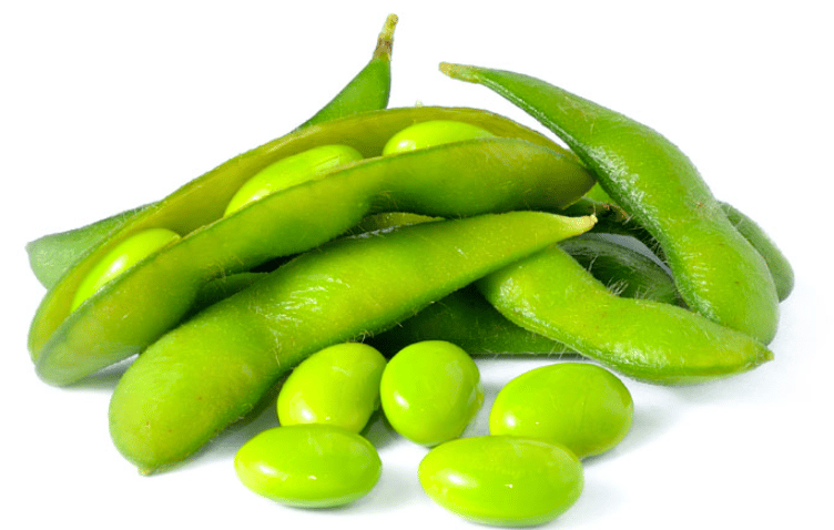 High Fiber Diet Food List
