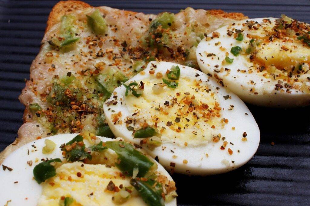 Carnivore diet recipes