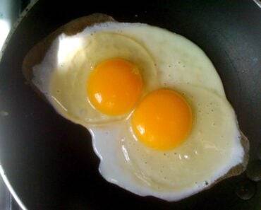 Are Eggs Vegetarian?