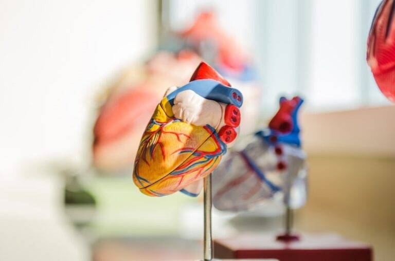 Cardiac Diet Plan Food List