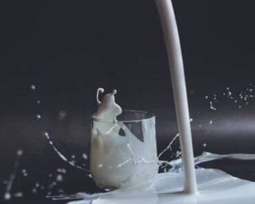 Lactose Free Diet Plan