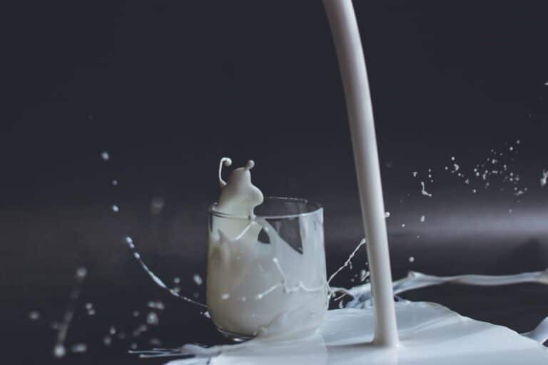 Lactose Free Diet Plan