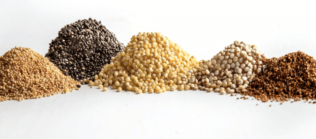 Vegetarian Protein Sources