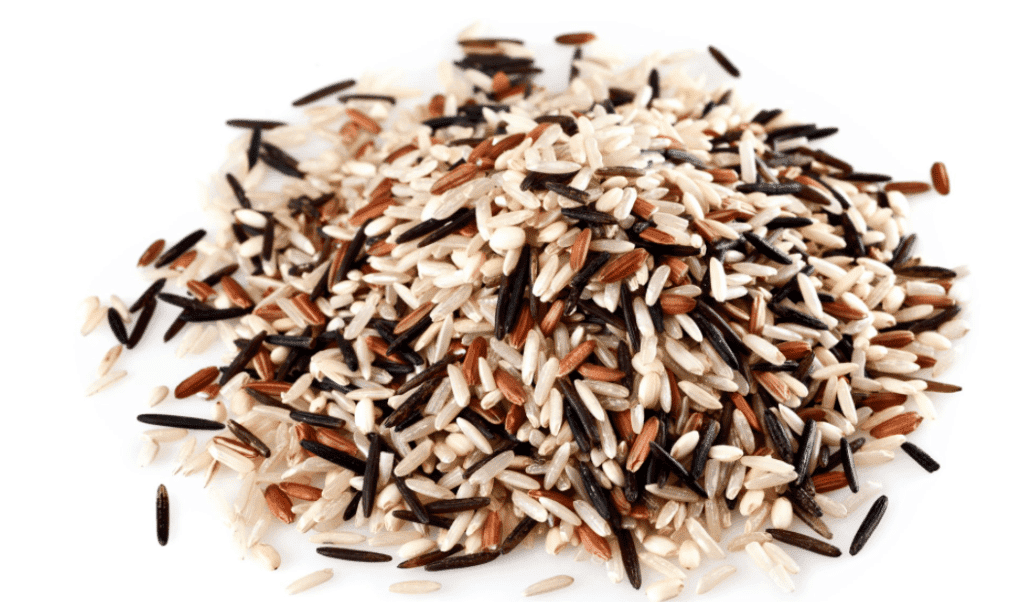 Vegetarian Protein Sources