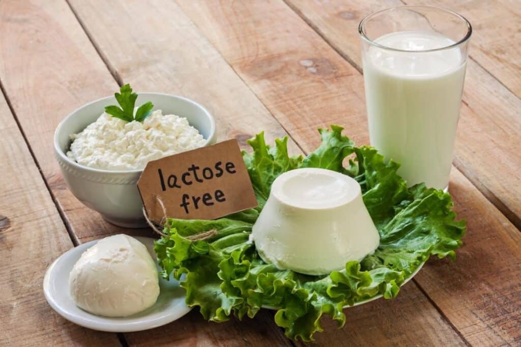 Lactose Free Food List
