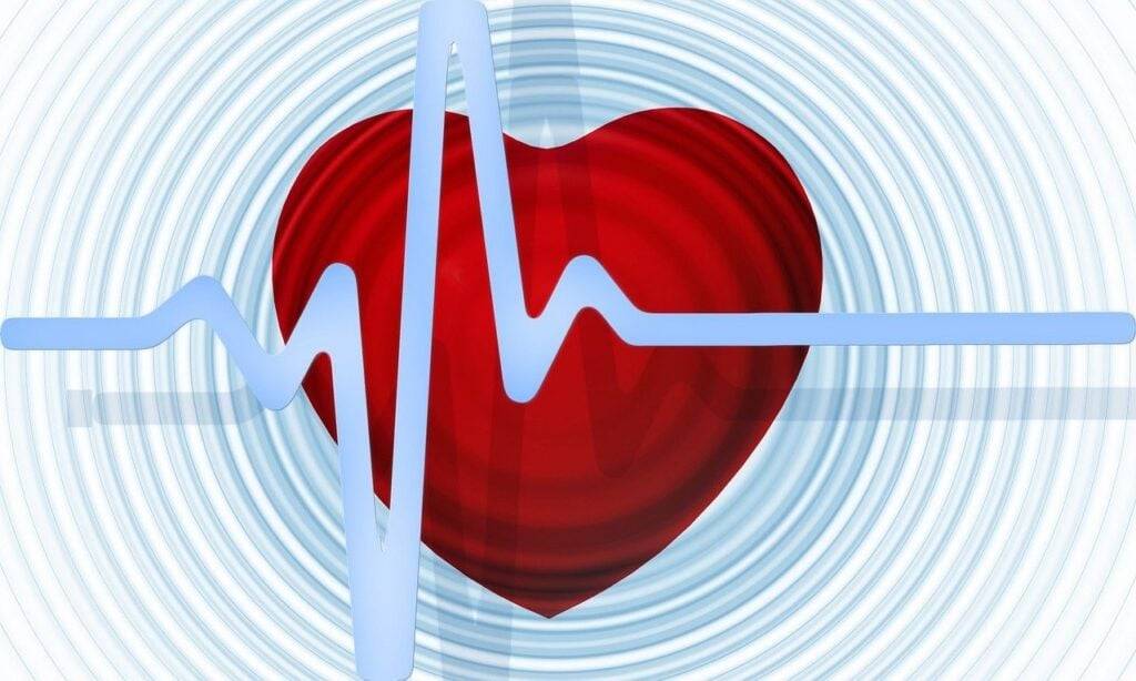 Cardiac Diabetic Diet Plan