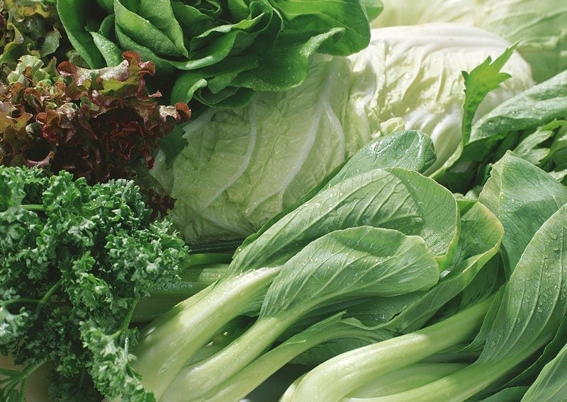 Low Cholesterol Food List