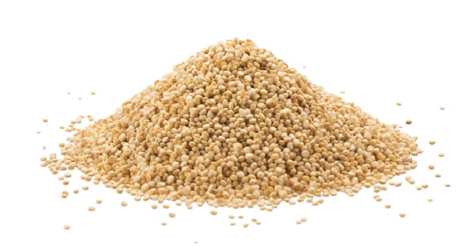 Vegetarian Protein Sources