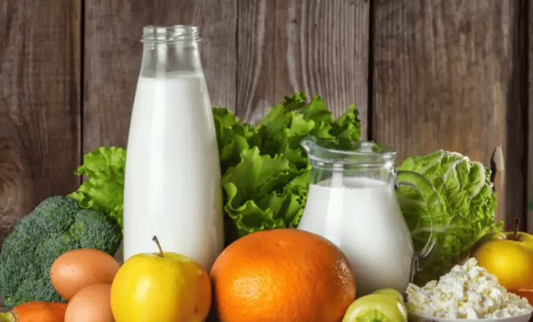 Lacto Vegetarian Diet