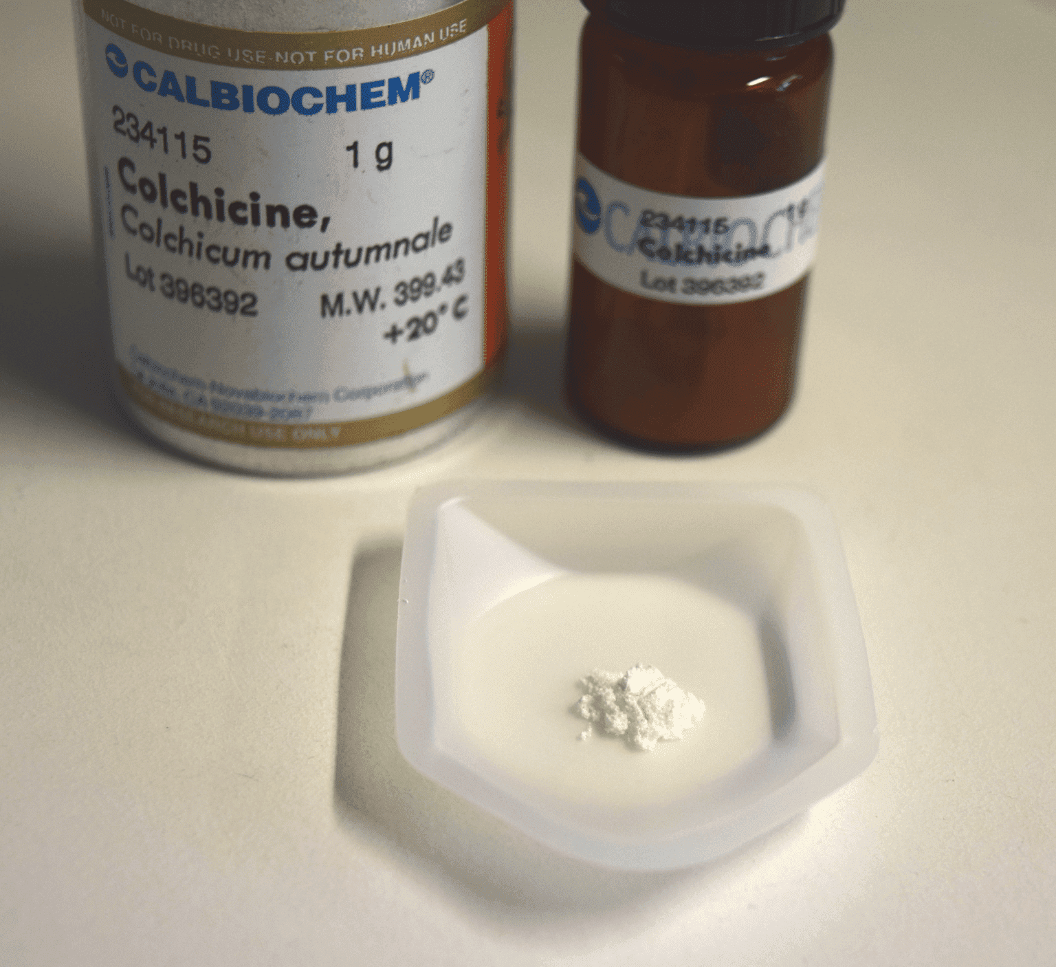 Grapefruit Juice and Medications Diets Meal Plan