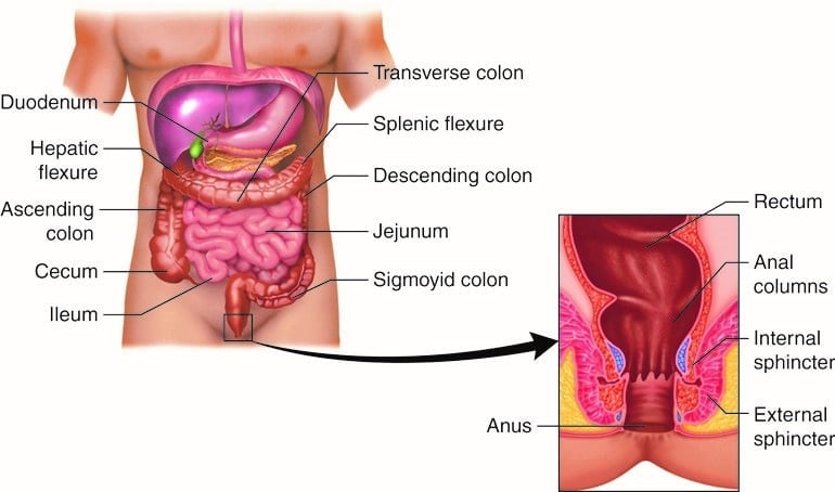Liquid Diet for Diverticulitis 
