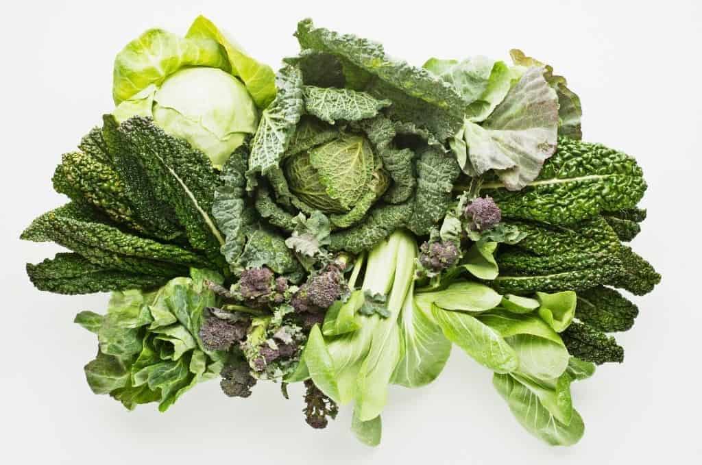 Low Oxalate Foods