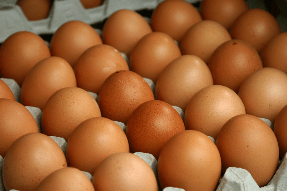 Are Eggs Vegetarian?
