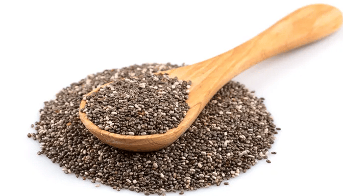 Vegetarian Protein Sources