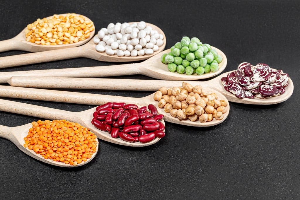 AIP Food List
