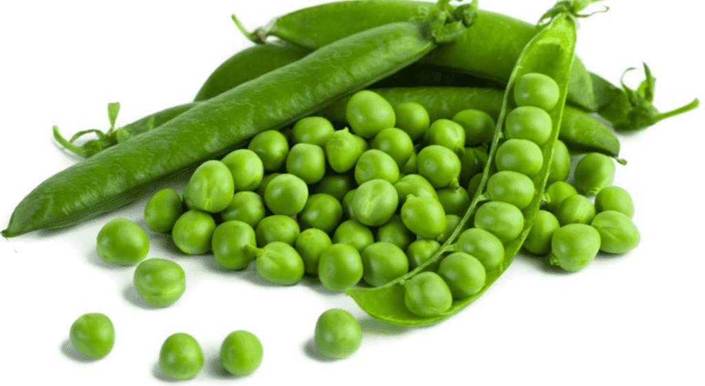 Vegetarian Protein Sources