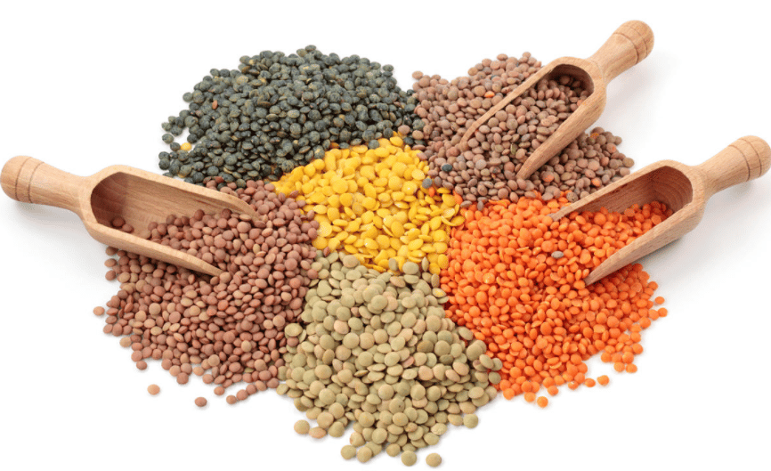 Vegetarian Protein Sources