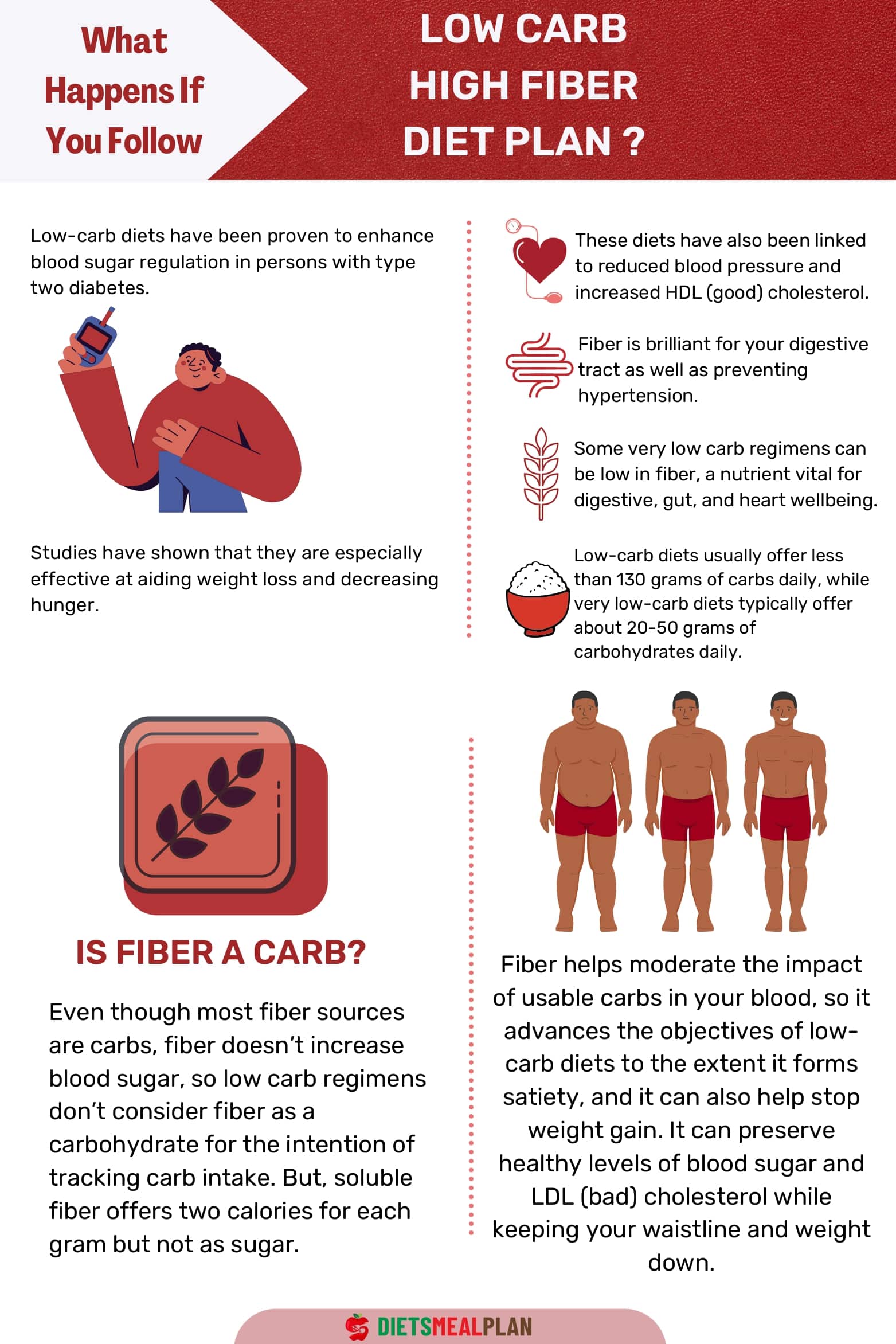 Low Carb High Fiber Diet Plan Diets Meal Plan low-carb-high-fiber-diet-plan-diets-meal-plan