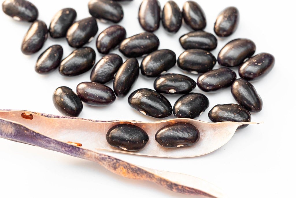 Foods That Burn Belly Fat