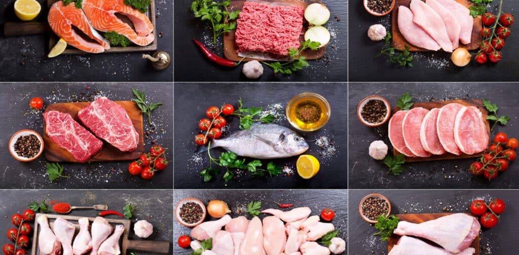 1200 Calorie Carnivore Diet