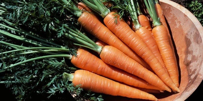 Vitamin A Food List, Benefits, and Recommended Intake