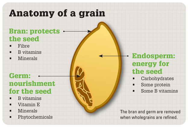 Whole Grains Food List